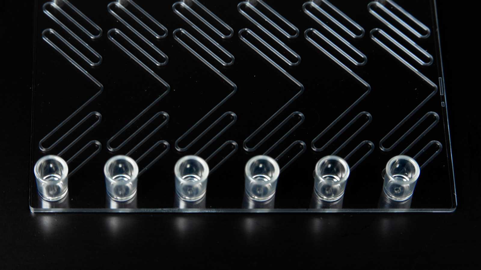 Six 250 microliter reseroivrs along one edge of a microplate format microfluidic device.