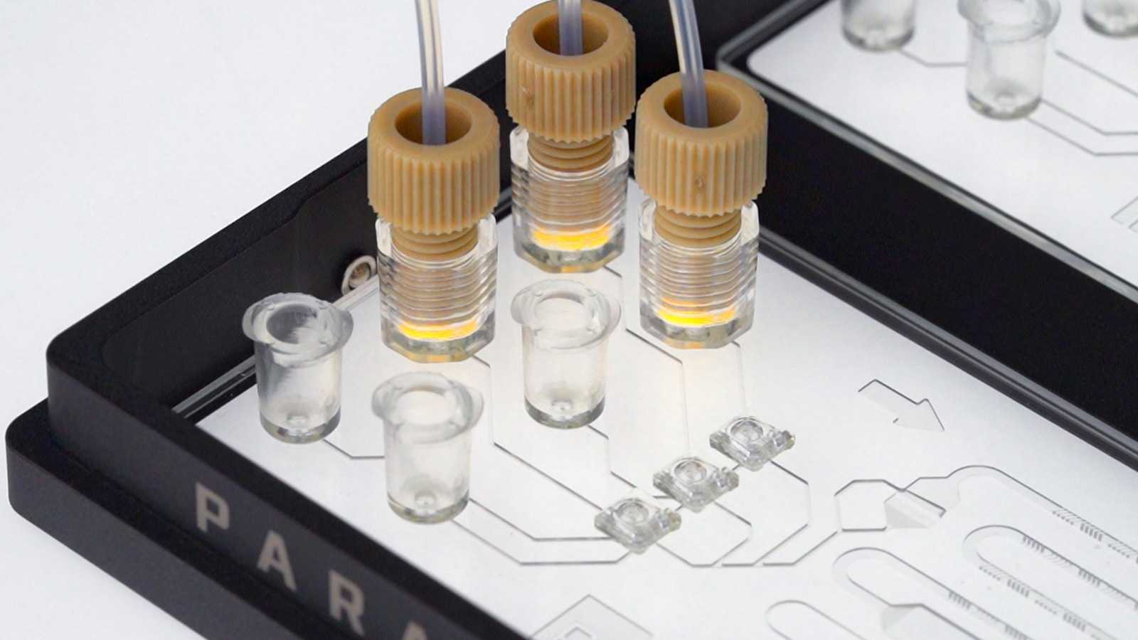 A double-slide format microfluidic device with three 1/4-28 ports and three Luer-lock ports.